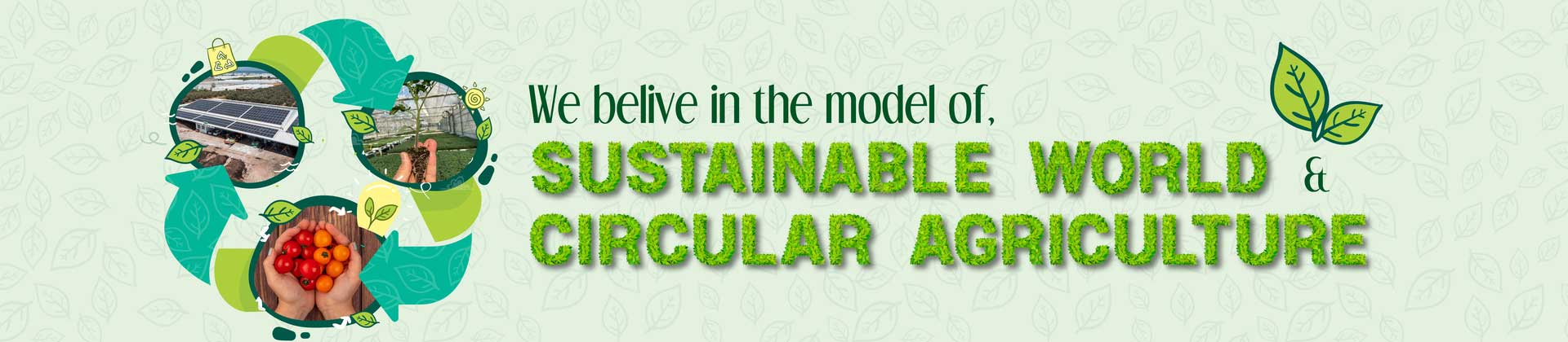 Sustainability